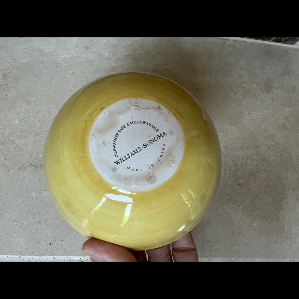 Williams Sonoma olive dish